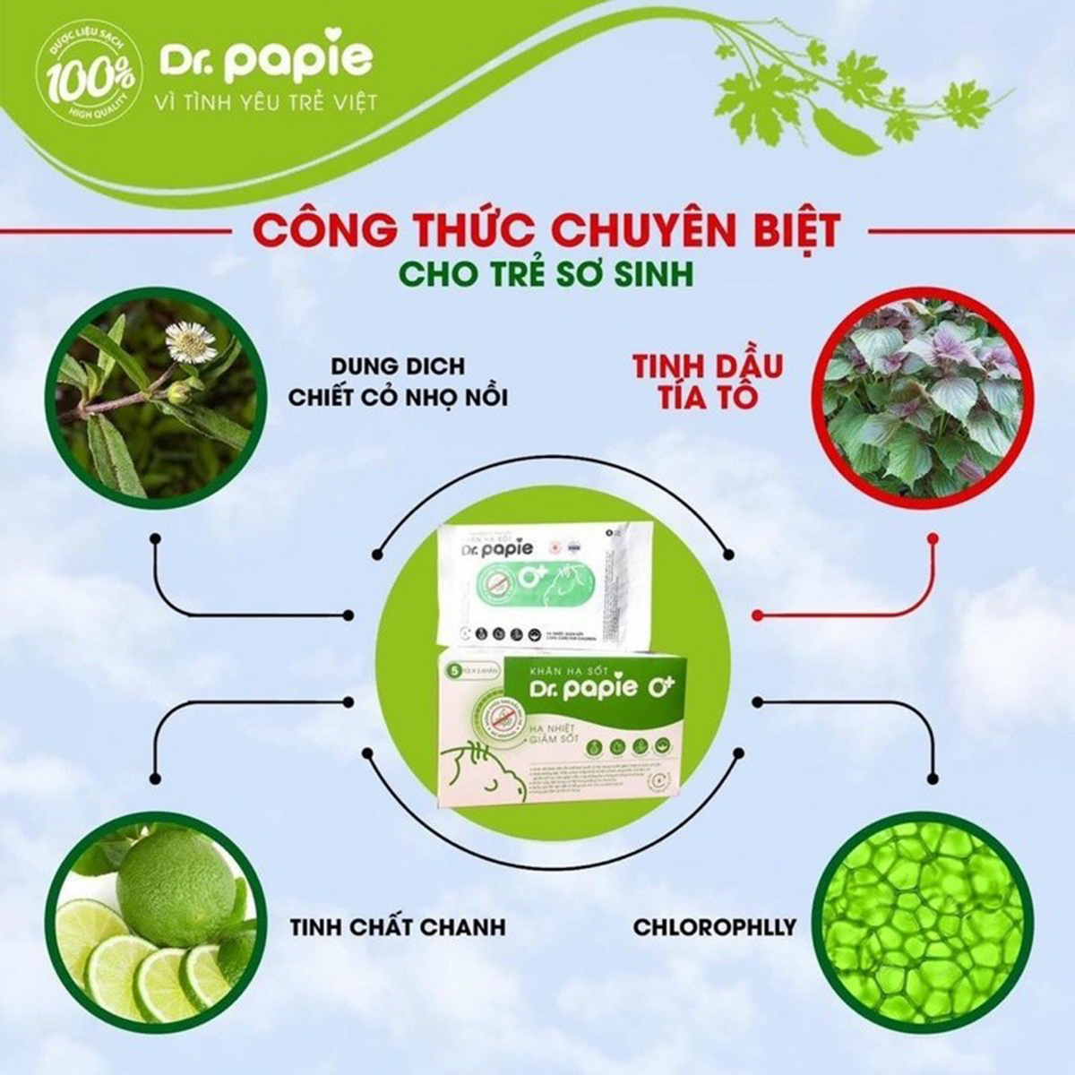 Khăn lau hạ sốt Dr Papie (0-3m+)