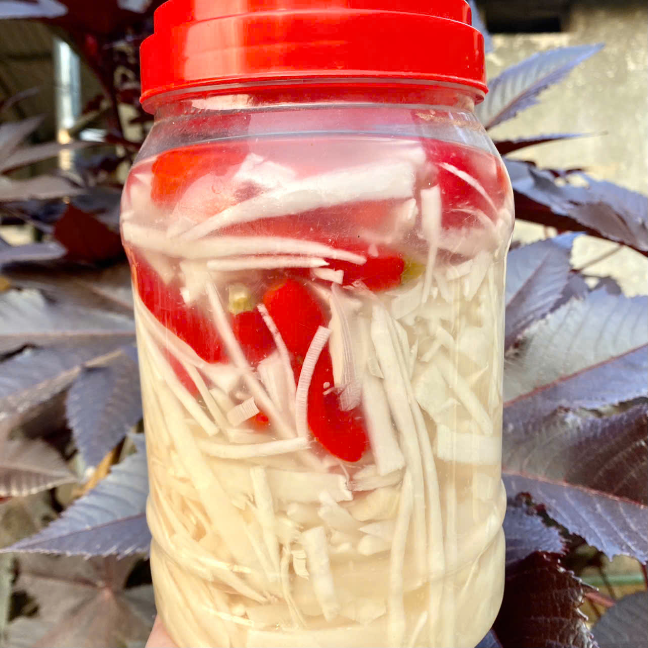Măng ớt ngâm