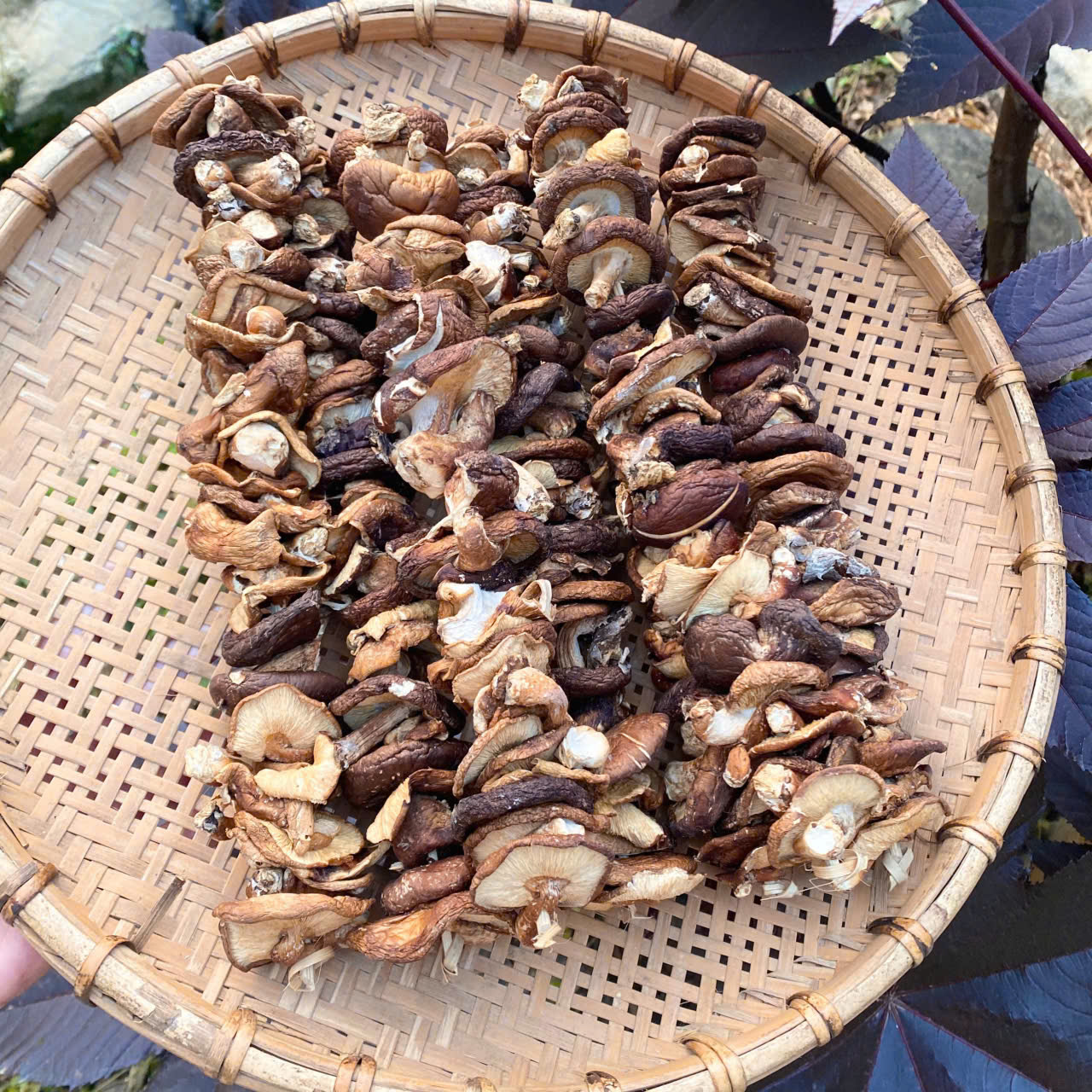 Đặc sản Cao Bằng