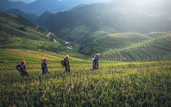 Du lịch Sapa- Phố núi sương mù