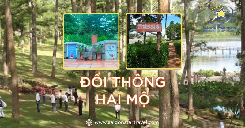 Đồi Thông Hai Mộ – Ghi Dấu Mối Tình Bi Ai Ở Đà Lạt