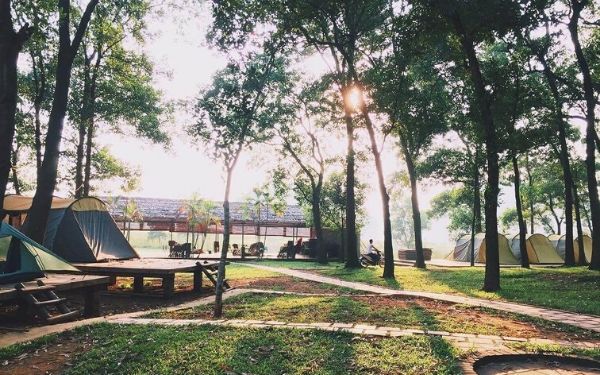 Bỏ túi bí kíp đi du lịch Đồng Mô