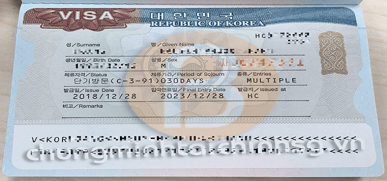 Cách xin e-visa Hàn Quốc – bỏ túi ngay hôm nay