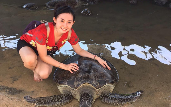 Đảo Rùa Bali – khu bảo tồn rùa mini khu vực châu Á