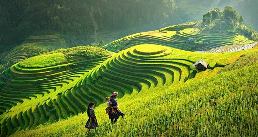 Nên du lịch thời điểm nào trong năm là tốt nhất