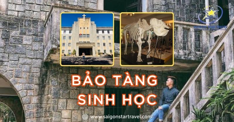 Bảo Tàng Sinh Học Đà Lạt – Bộ Sưu Tập Riêng Của Tây Nguyên