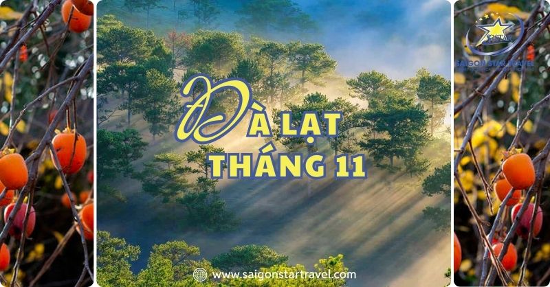 Đà Lạt Tháng 11 Gây Thương Nhớ, Như “Người Tình Thứ 2”