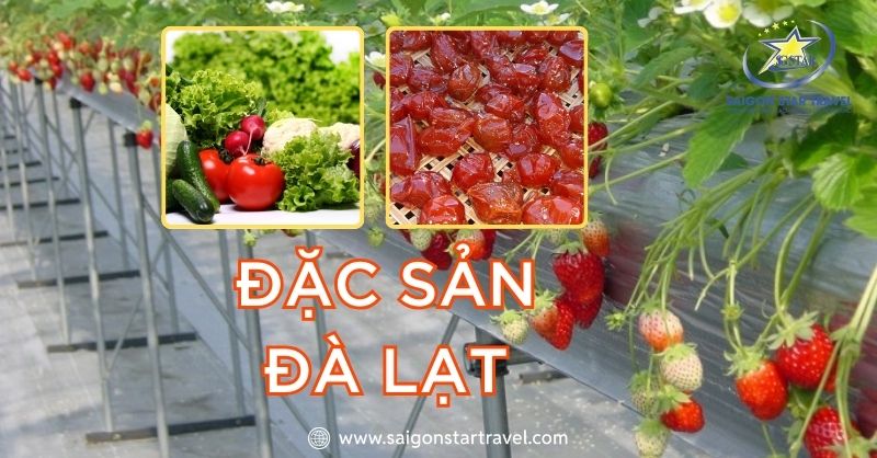 Đặc sản Đà Lạt – Hương Vị Riêng Của Thành Phố Ngàn Hoa