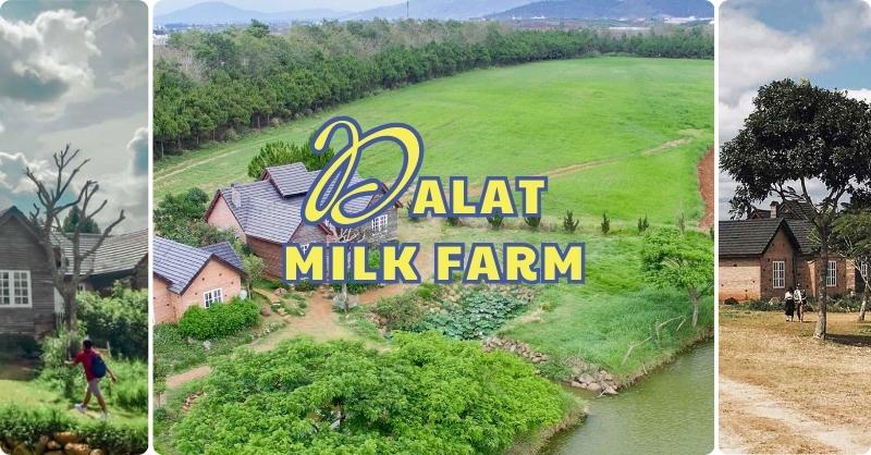 Dalat Milk Farm – Cảnh Sắc Mỹ Lệ Tựa Chốn Cổ Tích Đời Thực