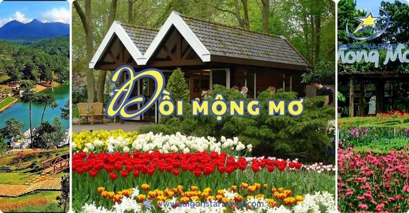 Vẻ Đẹp Tiềm Ẩn Ít Ai Biết Tại Khu Du Lịch Đồi Mộng Mơ Đà Lạt