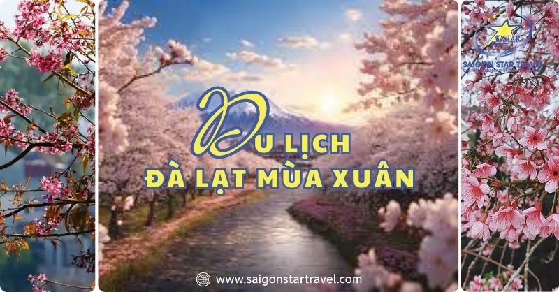 Du Lịch Đà Lạt Mùa Xuân – Khám Phá Đà Lạt Tràn Sức Sống