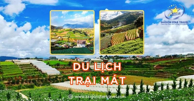 Du Lịch Trại Mát Đà Lạt – Bỏ Túi Kinh Nghiệm Mới Nhất 2025