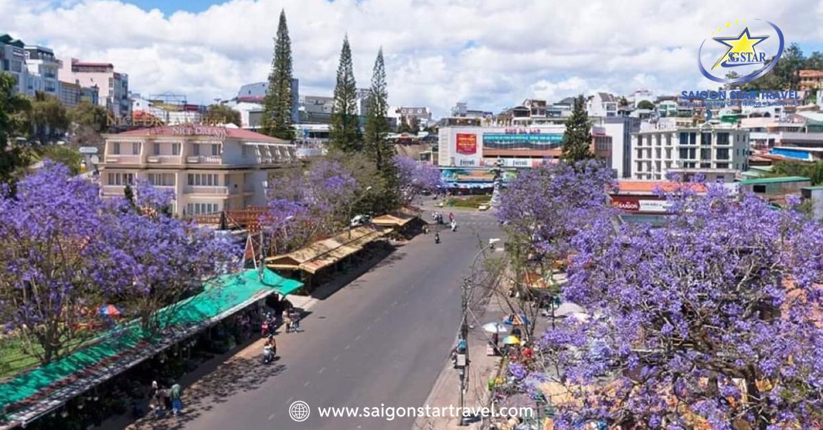 Du lịch Đà Lạt tháng 3 – Mê mẩn mùa hoa phượng tím dịu dàng