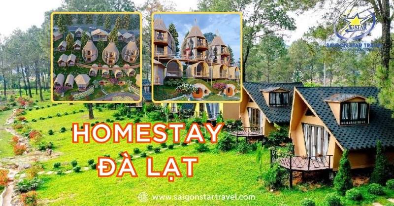 TOP 12 Homestay Đà Lạt Bình Dân, Bạn Nên Trải Nghiệm