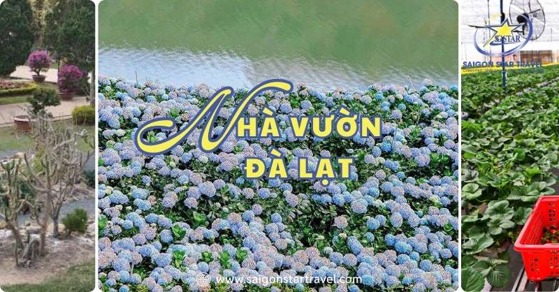 Du Lịch Nhà Vườn Đà Lạt Góc Nhìn Mới Về Thành Phố Hoa