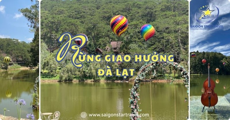 Rừng Giao Hưởng Đà Lạt – Thiên Đường Checkin Miễn Bàn