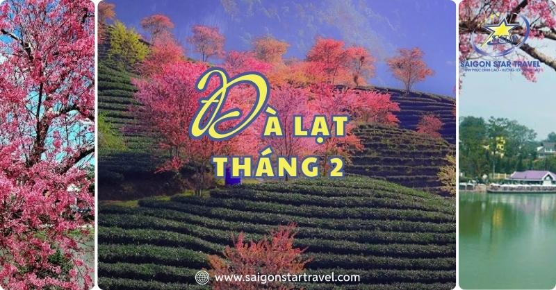 Đà Lạt Tháng 2 – Thành Phố Ngàn Hoa Vào Độ Đẹp Nhất