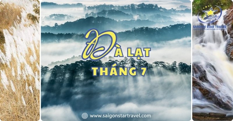 Đà Lạt Tháng 7 Mùa Sương Bạc Có Gì Đặc Biệt Đến Vậy?