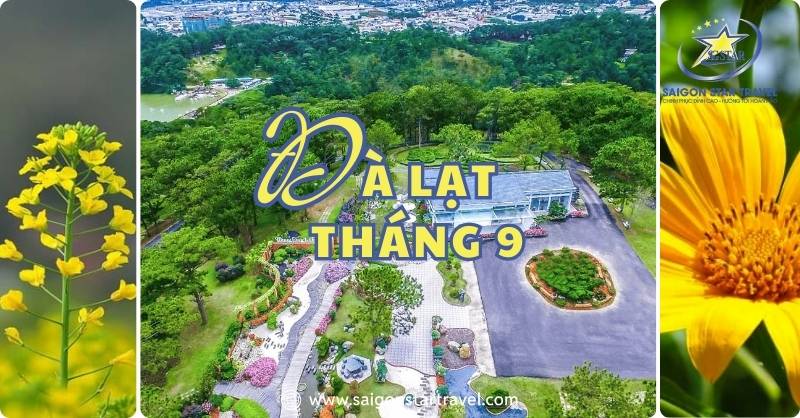 Đà Lạt Tháng 9 Sắc Thu Tràn Ngập, 1001 Lý Do Phải Ghé Thăm