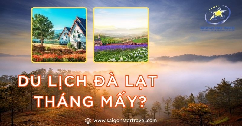 Du Lịch Đà Lạt Tháng Mấy Đẹp Nhất Để Tận Hưởng Trọn Vẹn