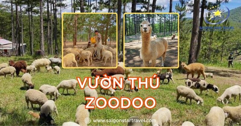 Thế Giới Hoang Dã Tại Vườn Thú Zoodoo – Hướng Dẫn Từ A-Z