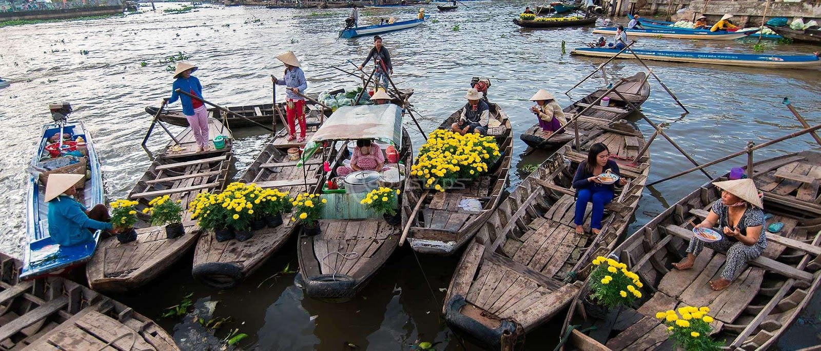 Tour du lịch Miền Tây về Cần Thơ- Điểm hấp dẫn thú vị nhất Miền Tây
