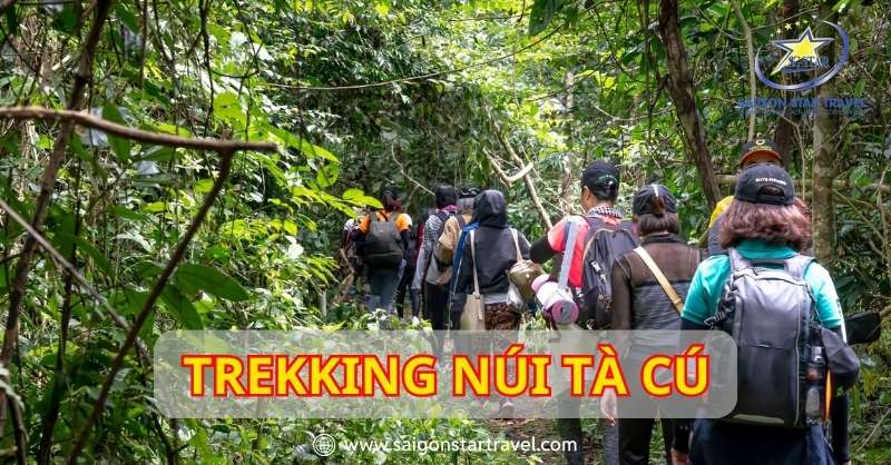 Trekking Núi Tà Cú – Hành Trình Khám Phá Thiên Nhiên Tuyệt Đẹp