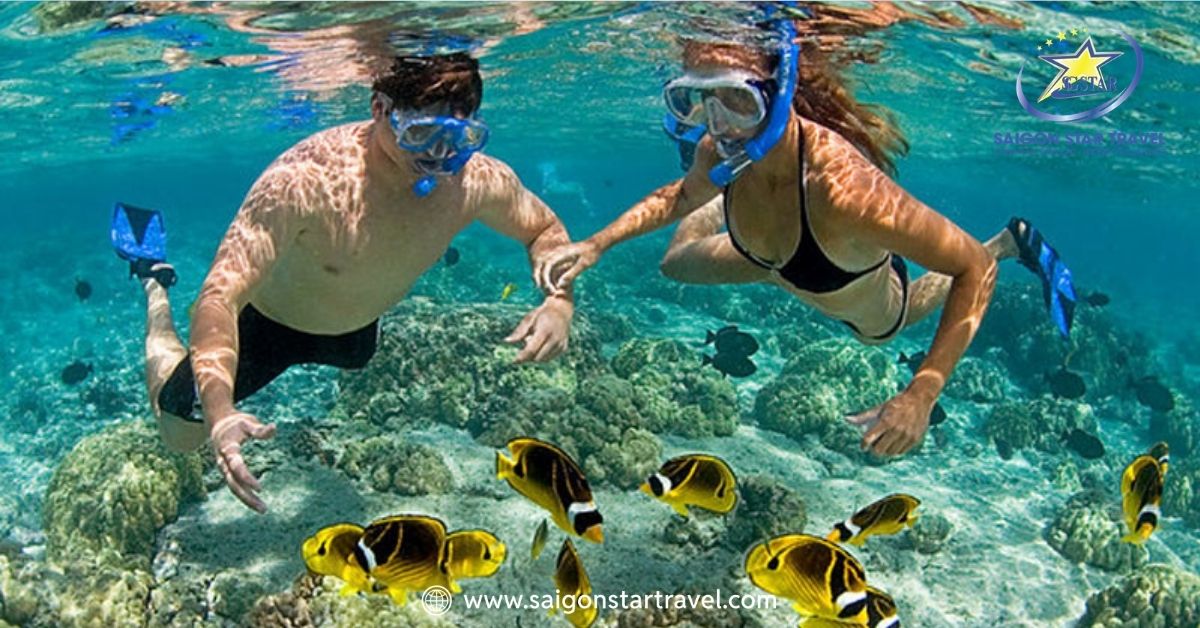 Review Lặn Biển Phú Quốc: Snorkeling, Scuba Hay Seawalker?