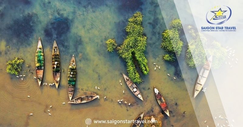 Đến Đầm Trà Ổ Bình Định Thưởng Thức Thiên Nhiên Thơ Mộng