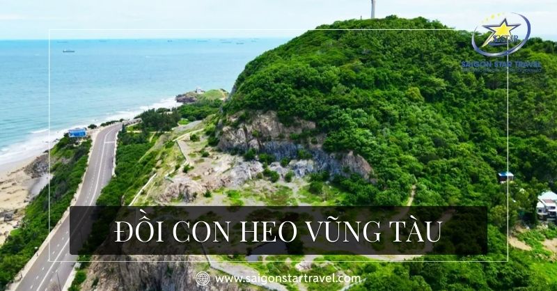 Đồi Con Heo Vũng Tàu – Điểm Đến Vàng Cho Tâm Hồn Lãng Mạn