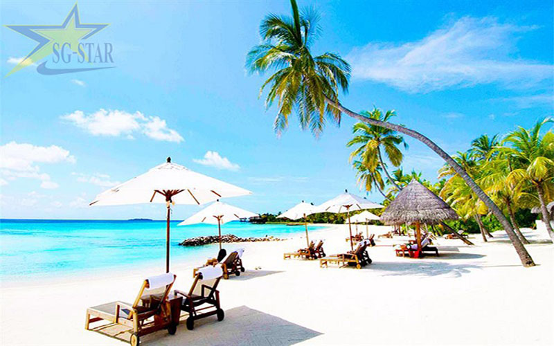 Review chi tiết Tour 4 đảo Nha Trang có gì hấp dẫn