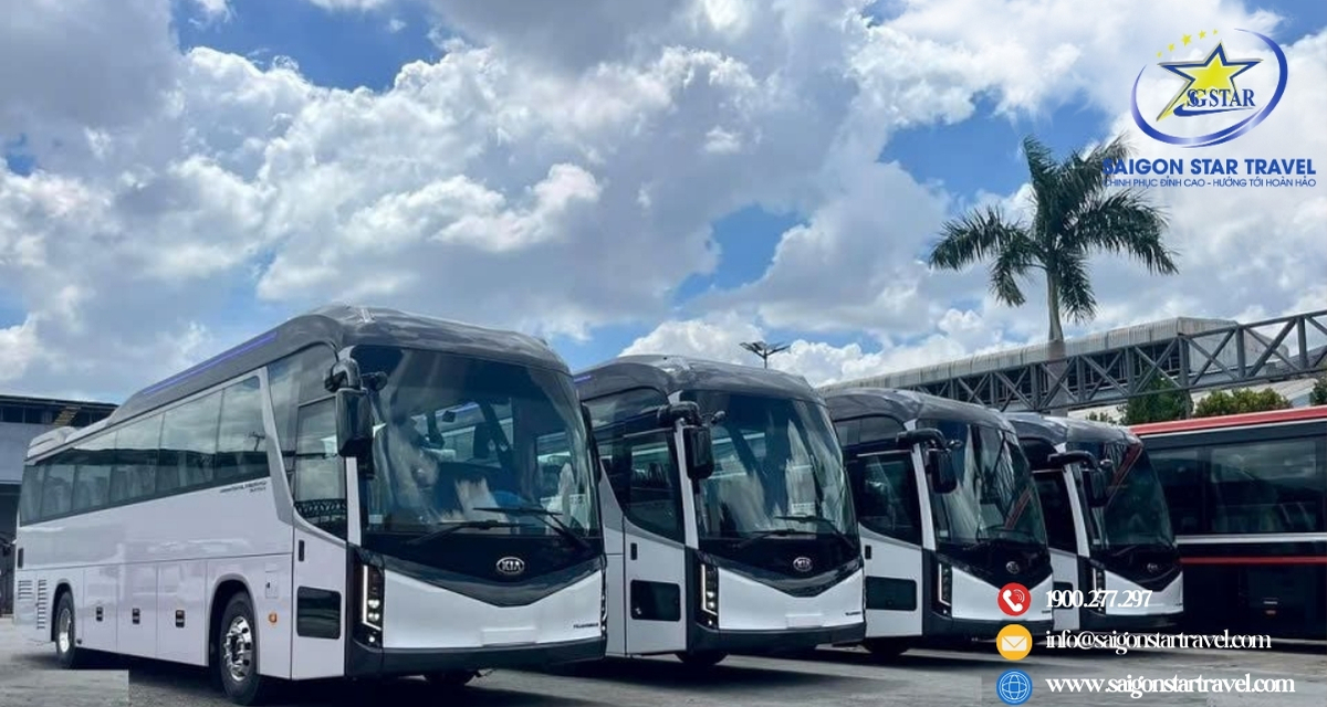 Các Dòng Xe 45 Chỗ Cho Thuê Được Yêu Thích Nhất 2025