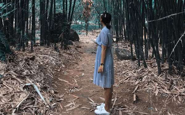 Kinh nghiệm du lịch làng tre Phú An tỉnh Bình Dương đầy đủ nhất