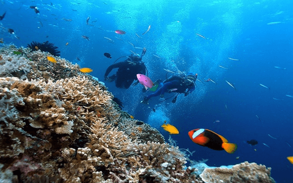 Khám phá “đủ vị” trong Tour Côn Đảo 30/4