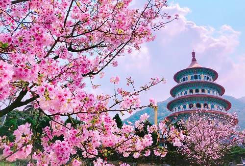 Mùa hè nên đi du lịch nước nào ? Top địa điểm hot 2024
