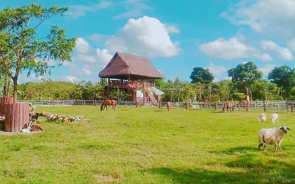 Nông Trang Xanh Củ Chi