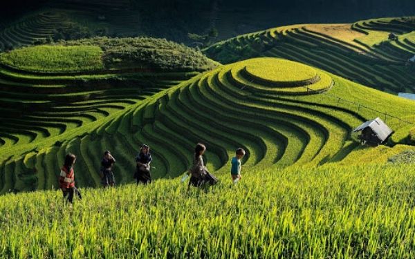 Phá đảo tour Mù Cang Chải 2 ngày 1 đêm đầy thú vị