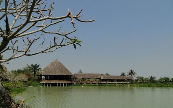 Review khu du lịch bằng lăng tím
