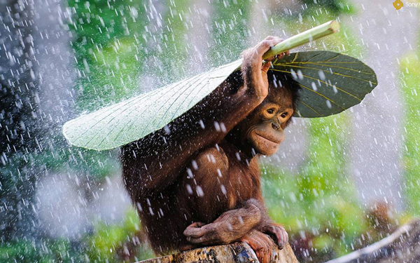 Sổ tay thời tiết Bali cho các bạn du lịch phượt
