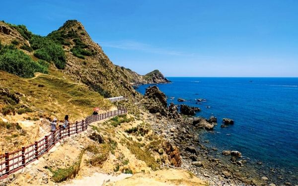 Thông tin về tour Kỳ Co Eo Gió giá rẻ hot nhất 2023