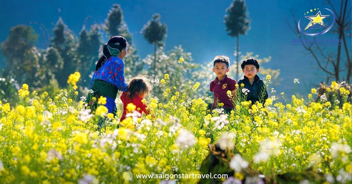 Top 15 danh lam thắng cảnh Việt Nam đẹp nhất định phải đến