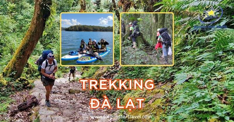 Tour Trekking Đà Lạt 2025 – Trải Nghiệm Vẻ Đẹp Của Đà Lạt