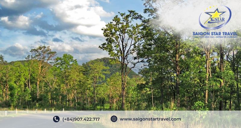 Vườn Quốc Gia Yok Đôn: Khám Phá Thiên Nhiên Hoang Dã Và Văn Hóa Độc Đáo