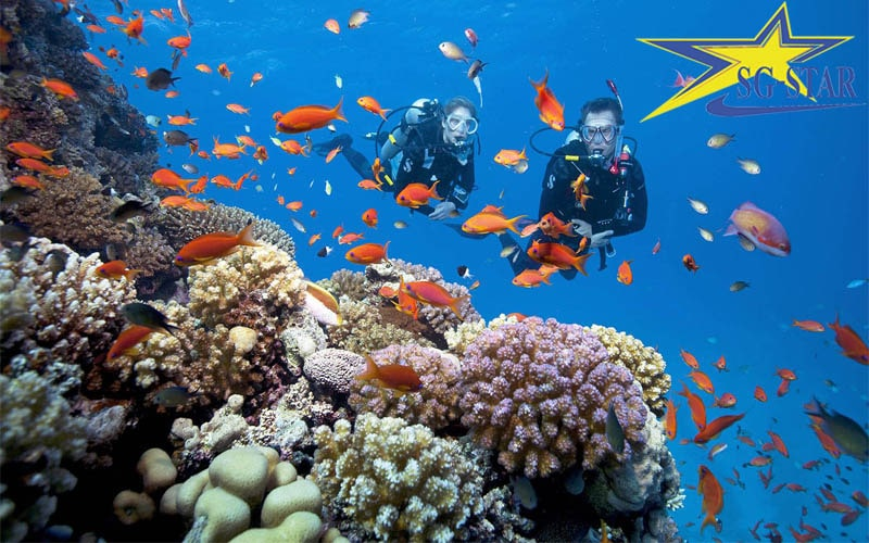 Du Lịch Đảo Bình Ba Nha Trang - Thiên Đường San Hô