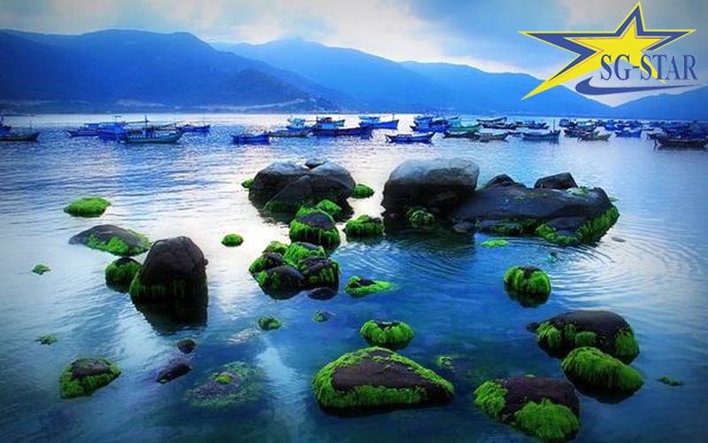 Hòn đảo Bình Hưng xinh đẹp