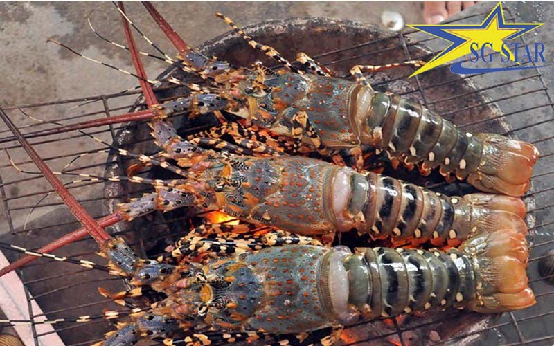 Các món ăn nhất định phải thử khi du lịch Vĩnh Hy Bình Hưng | Saigon Star Travel Tôm hùm - món ăn tươi ngon tại Vĩnh Hy