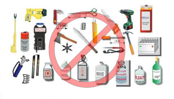 Checklist hành lý du lịch Tết Nguyên Đán 2025 | Saigon Star Travel Những thứ được mang lên và không được mang lên máy bay - Elines