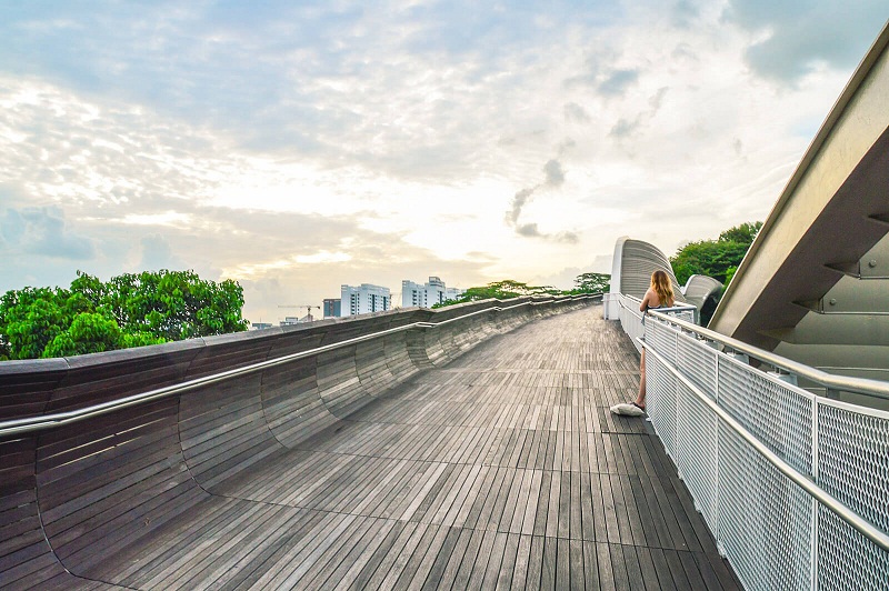 Faber Mount - Bức tranh thiên nhiên đắt giá của Singapore | Saigon Star Travel 24519605770 328f5ab67d h 1