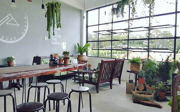 4 quán cafe gần Hồ Xuân Hương Đà Lạt mới lưu lại gấp | Saigon Star Travel 4-quan-cafe-gan-ho-xuan-huong-da-lat-3