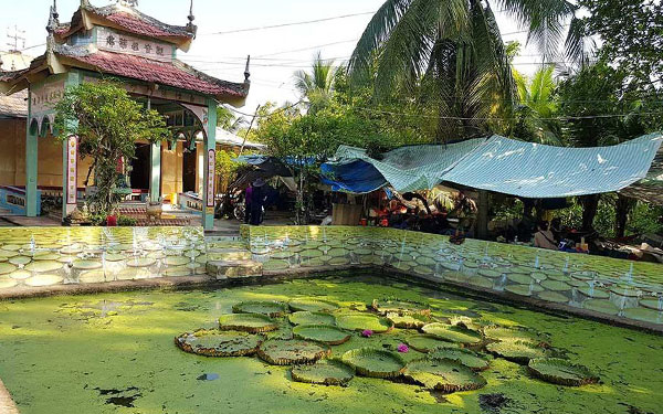 5 điểm du lịch Đồng Tháp hấp dẫn | Saigon Star Travel 5-diem-du-lich-dong-thap-hap-dan-1